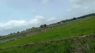 Fieling