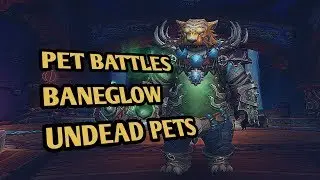 How to beat Baneglow with Undead pets - world of warcraft