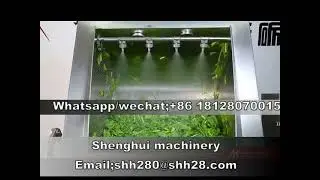 multi function vegetable washing machine high quality meat washer