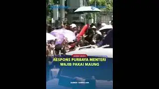 RESPONS PURBAYA Semua Menteri Wajib Pakai Maung❓