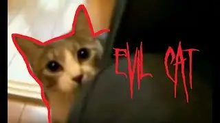 Is this the SCARIEST cat EVER!? (Evil Cat)