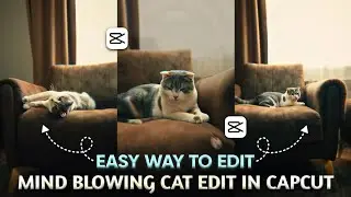 How to Edit Viral Cat Effect in CapCut | Easy Tutorial for Trending Reels