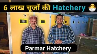 6 लाख चूजों की hatchery 🐣 । Parmar hatchery