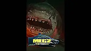Megsvs Megs #megashark Vs #themeg #themeg2 #megalodon #asylum #edit #wisedit #sharkweek #shark