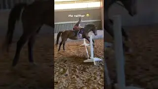 😅 #horse #sunday #fails