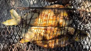 TIVE QUE PEGAR O PEIXE PARA O ALMOÇO, MUITA PRESSÃO