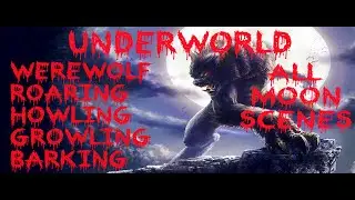 Werewolf Roar - Wolf Sound Effect - Moon Scene - Underworld HD