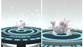 Finally Evolving my Cetoddle 🧬 to Cetitan lovely Pokemon #pogo #cute #pokemongo