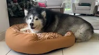 Нас ждал сюрприз!!