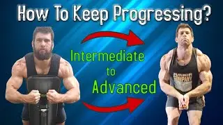 Program Templates vs Coaching (and the Middle Ground)