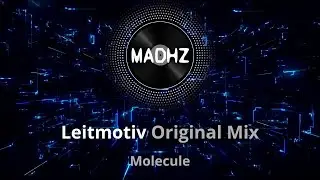 Leitmotiv (Original Mix) | Molecule