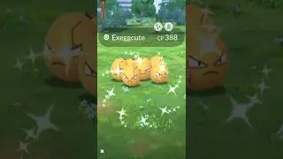 Shiny Exeggcute & Shiny Exeggutor! #pokemongo