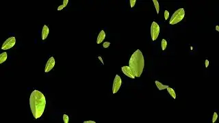 [ 60:00 Minutes ] Falling Leaf Overlay Video For Edits ~ Longest Leaf Animation Motion Background