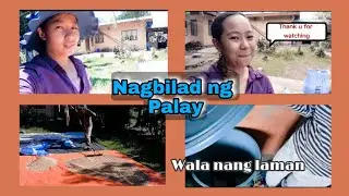 A day in life of Riza..