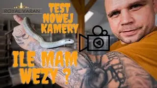 Ile mam węży ? Jakie gatunki hoduje ? Jakie mam plany hodowlane na 2023r . Test nowej kamerki !!!