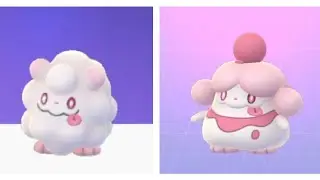 Swirlix evolution into Slurpuff | adventure together to evolve | Fairy pokemon | Pokemon go |