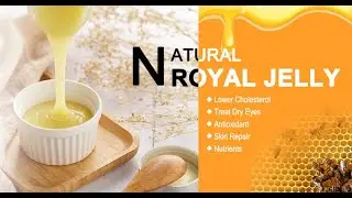 Royal Jelly | Deli Foods Manufacturer & Exporter