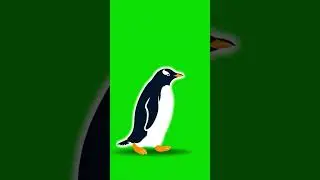 Penguin Silhouette Waddle Loop Green Screen | Penguin Awareness Day Jan 20 NCR Asset 05 #chromakey