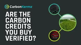 Are the Carbon Credits You Buy Verified?