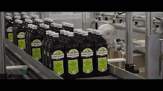 Wrap Around Case Packer - Olive Oil Glass Bottles - NOVOPAC