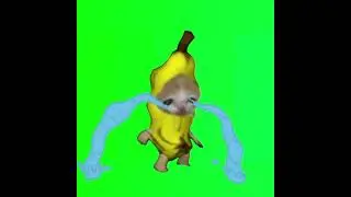 Banana Cat Crying Green Screen in Swist Major GoldWave Version