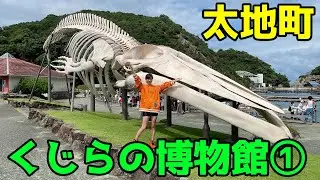 【和歌山県・太地町】第２章 太地町散策＆くじらの博物館(前編) with English sub🐬✨