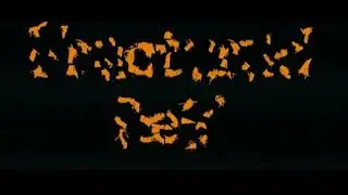 Title animation