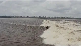 Сборник Weird Waves Дилана Грейвса