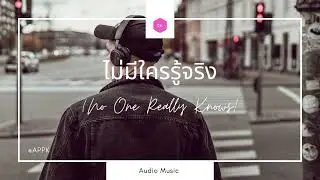 APPK. - ไม่มีใครรู้จริง (No One Really Knows) | [Official Audio]