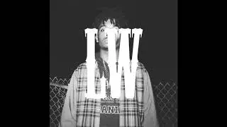 playboi carti x Lil Tecca - 