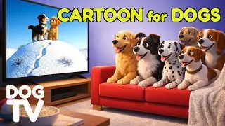 Cartoons for Dogs: Relaxing Dog TV to Keep Your Dog Calm While You&rsquo;re Away | Calming Music