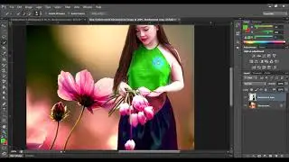 How to replace color and backgrounds photos