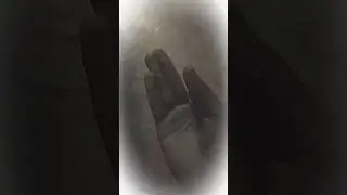 #beshoy