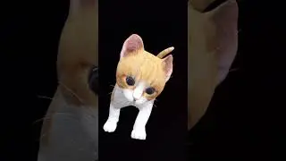 cat meme kitten 🙀😺#viralvideo #shortsvideo #ytshorts