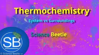 System vs Surroundings