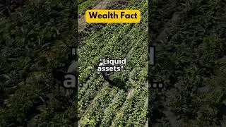 Cash-Quick Assets