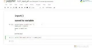 user input - Introduction to Python: Absolute Beginner Module 1 Video 15