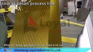 Snacks pellet process line