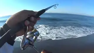 pesca en manzanillo, fishing en manzanillo #fishing #pesca #