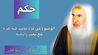 هل يصح الوضوء من ماء ماتت فيه هرّة ولم يتغيّر؟ | فتوى ابن عثيمين