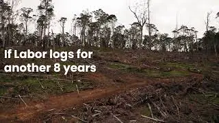 This Election Vote to End Native Forest Logging