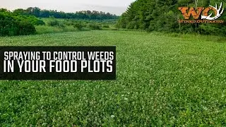 Spraying To Control Weeds In Your Food Plots