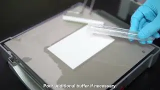 Operation of Semi-Dry Blotter _ Wealtec Bioscience