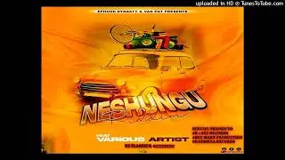 King Gora x Freedoman-Shingirira pro by Flashie B 0777723737 Neshungu Riddim