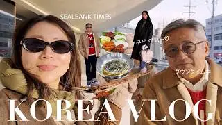 【夫婦韓国vlog】年末ソウル2人旅🇰🇷シミさんと一緒に美容医療💉美術館・韓国グルメも堪能したよ✨♡