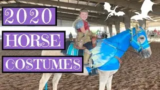 Horse Halloween Costume Ideas 2020 (featuring the 