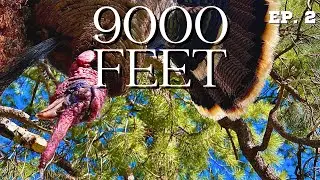 Pt. 2: A Colorado Public Land Turkey Hunt | 