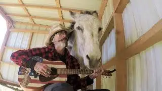 Hazel Classic Rock Donkey Wants The Who