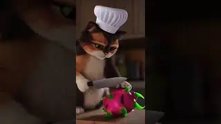 cat chef #animation