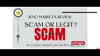 Juno Markets Review junochina.net Reviews Scam or Legit?